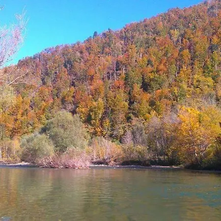 Holiday River Kupa * Turke