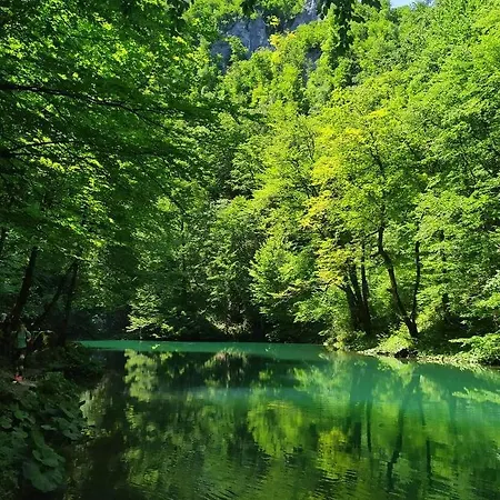 Holiday River Kupa *