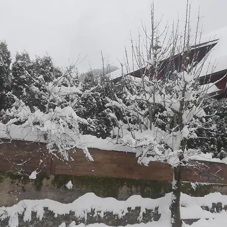 Holiday River Kupa Turke