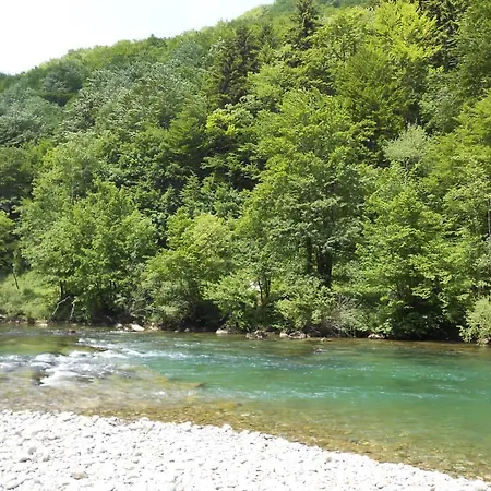 Сasa de vacaciones Holiday River Kupa Turke